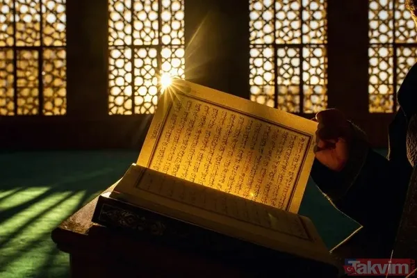 Diğer Sureler İçin Tıklayınız Enam Suresi Haşr Suresi Leheb Suresi Taha Suresi A'râf Suresi Beyyine Suresi Cin Suresi