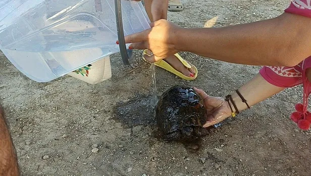 bodrumda-makilik-ve-otluk-alanda-cikan-yangin-sonduruldu-1690825060088.jpeg Bodrum'da makilik ve otluk alanda çıkan yangın söndürüldü-3