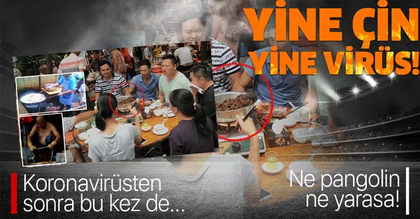 Bilim insanları ilk kez açıkladı! Yine Çin yine virüs! Koronavirüsten sonra bu kez de... | Hıyarcıklı veba (Bubonik veba) nedir?-1