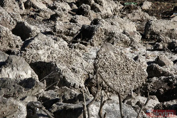 Çanakkale'de barajlardaki suyun az kalmasından dolayı araç ve halı yıkama yasaklandı - 12