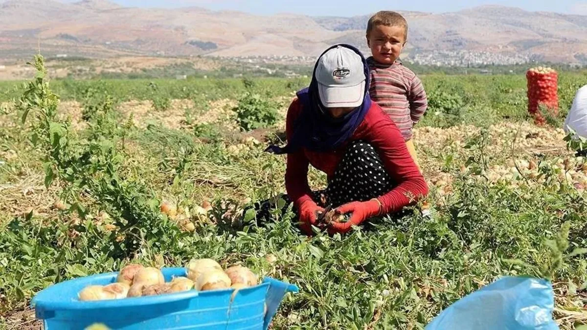 Başkan Erdoğan imzaladı! Mevsimlik tarım işçileriyle ilgili yeni düzenleme