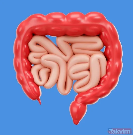 Doğal iştah kapatıcı lif: Uzman Emma Bardwell kolon kanseri riskini azaltan ve zayıflatan besinleri açıkladı - 2