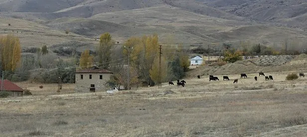 Divriği Havaalanı tarlaya dönüştü