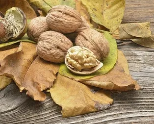 Ceviz saçları güçlendirir