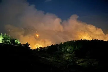 Konya’da orman yangını