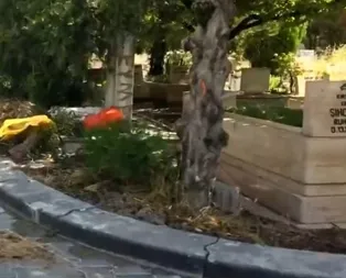 Ankaradan rezaletin görüntüleri! Vaatlerini yerine getirmeyen CHPli Mansur Yavaş temizlik işin de bile sınıfta kaldı