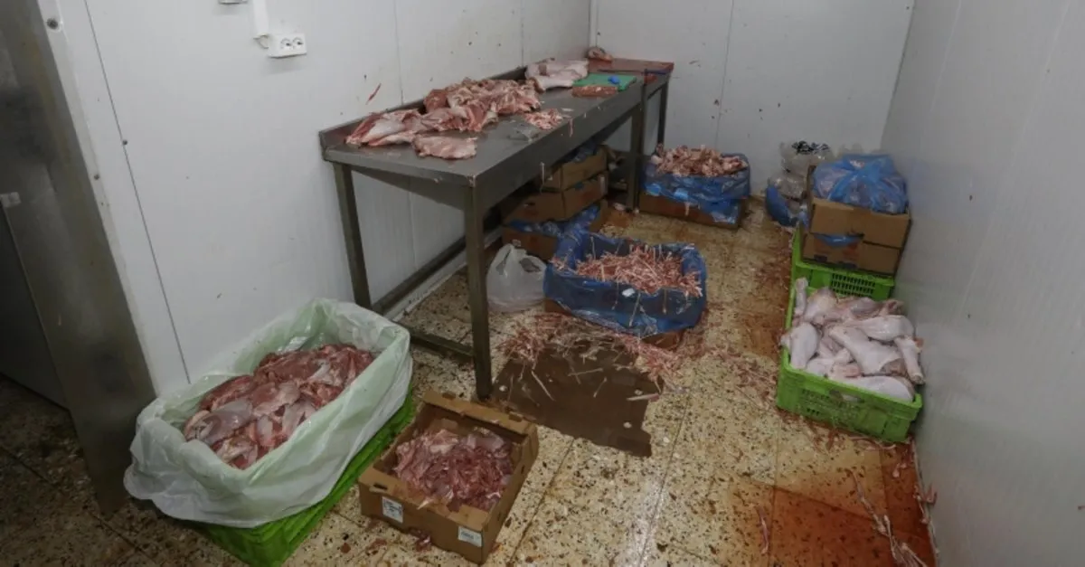 Son Dakika Izmir Buca Da Gida Teroru Bu Goruntulere Mide Dayanmaz Videosunu Izle Takvim Tv