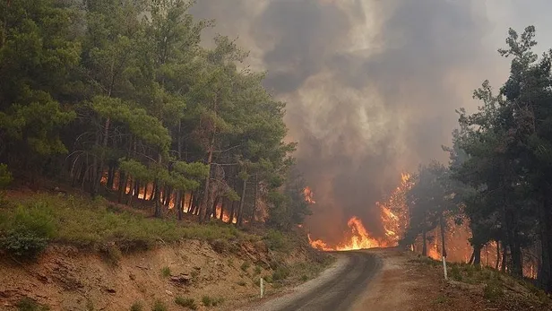 İçişleri Bakanlığından orman yangınlarına karşı genelge: Risk taşıyan bölgelerde 31 Ekim 2023 tarihine kadar orman alanlarına girişler yasaklandı-4