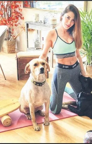 Survivor'ın ilk kadın şampiyonu Merve Oflaz sevimli köpekleriyle antrenma yaptı