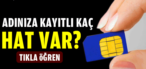 Adınıza kayıtlı kaç hat var?