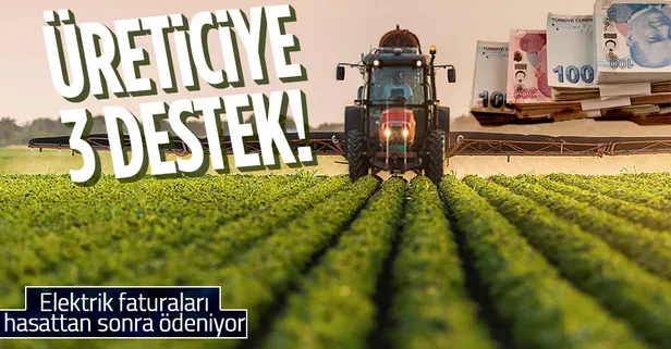 Üreticiye 3 büyük destek gündemde! Elektrik faturaları hasattan sonra ödeniyor... İşte tüm detaylar