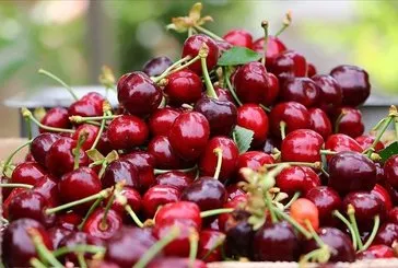 Kulaklara küpe olsun