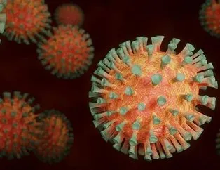Çin koronavirüsün ham belgelerini DSÖ’den gizledi mi?