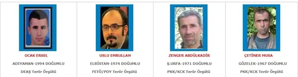 Tunceli'de PKK'ya darbe üstüne darbe-3