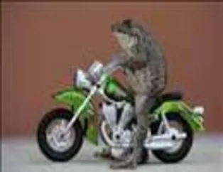 İlginç Fotoğraflar