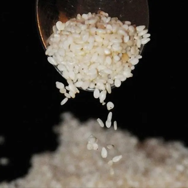 Kansere karşı susam