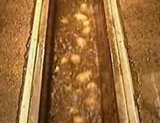 Cips nasıl yapılır?