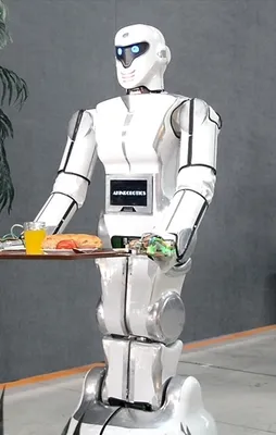 Yerli robotlar çok farklı