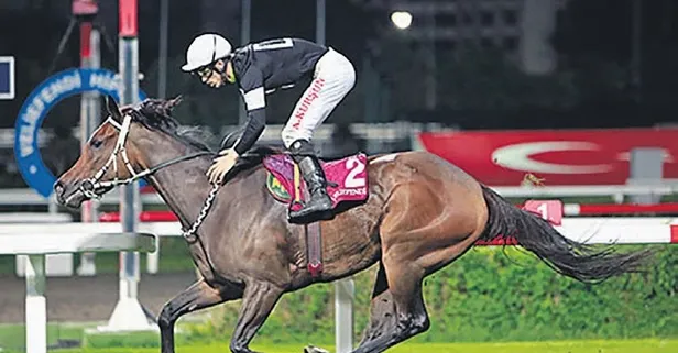 Şampiyon İngiliz 'Mademoıselle'e icra