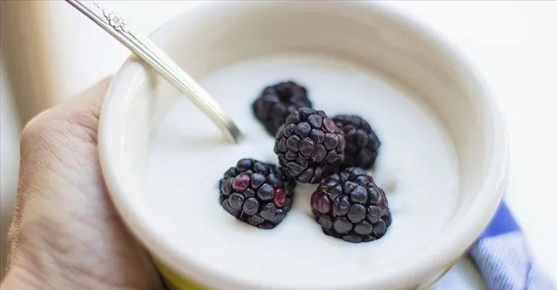 Derde deva probiyotik! İşte probiyotiklerin hayatımızdaki önemi