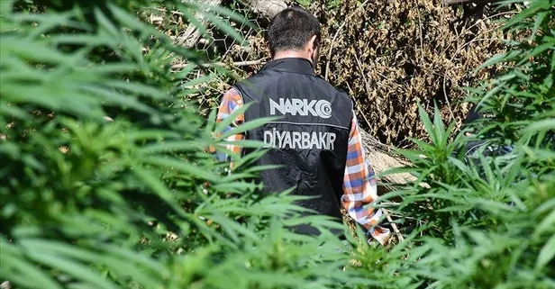 Son dakika: Jandarmadan narko-terör operasyonu: 2 terörist etkisiz hale getirildi