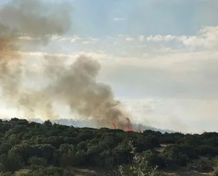 Çanakkale’de orman yangını!