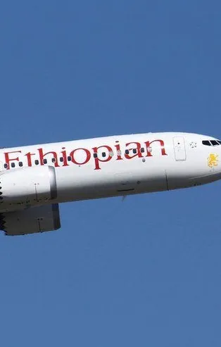 Pilot geri dönmek istedi, başaramadı