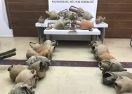 Tarihi eser kaçakçılarına operasyon! Hepsi ele geçirildi