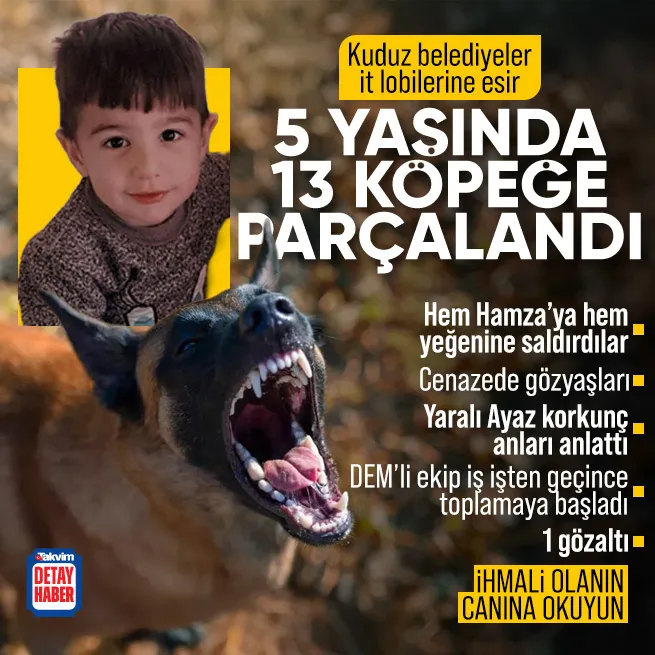 Van’da başıboş köpek saldırısı can aldı: 5 yaşındaki Hamza hayatını kaybetti, akrabası Ayaz hastaneye kaldırıldı