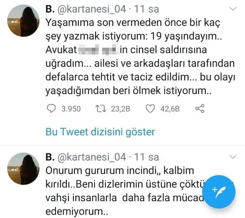 Türkiye 19 yaşındaki ‘kartanesi’ni konuşuyor: “Avukat bana cinsel saldırıda bulundu, binlerce tehdit alıyorum”-1