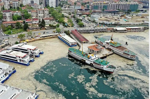 Sabah gazetesi yazarı Mahmut Övür: Marmara'yı öldüren deniz salyasına Ekrem İmamoğlu'nun katkısı!