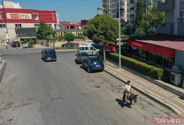 Günün en ilginç haberi: Japon turist Merzifon'dan aldığı eşekle Türkiye'yi gezdi - 21