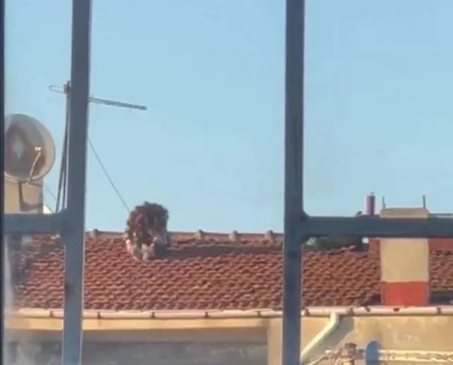 Çatıda tehlikeli yoga keyfi kamerada