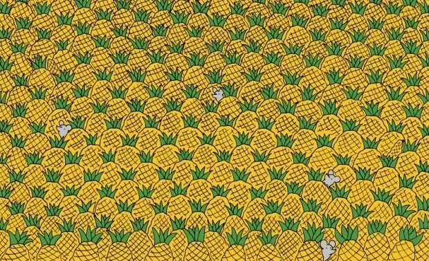 zeka-testi-ananaslarin-icindeki-4-misir-nerede-867-kisiden-33u-15-saniyede-bulabildi-1714124056977.jpg Zeka testi: Ananasların içindeki 4 mısır nerede? 867 kişiden 33'ü 15 saniyede bulabildi-4