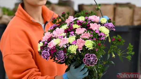 🌺 Kadınlar, Hayatın Her Alanında Varlıklarıyla İz Bırakır. 8 Mart'ta Tüm Kadınlara Selam Olsun! 🌺 Kadın, Her Zaman Eşitlik Ve Haklar İçin Mücadele Etmelidir...