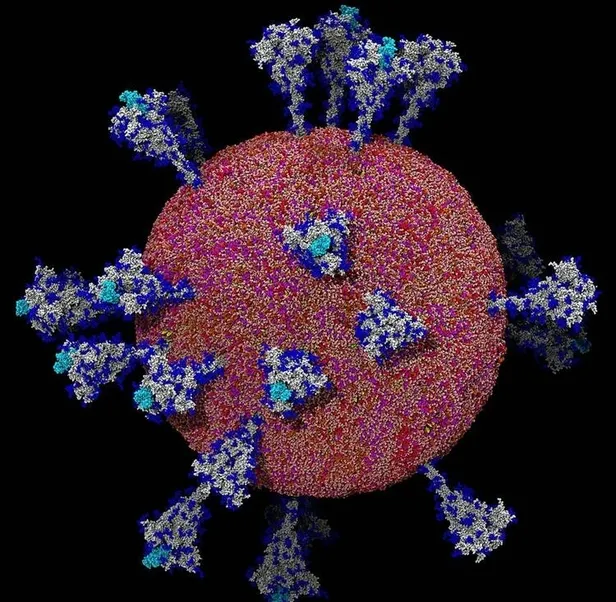 ilk-kez-bu-kadar-net-goruntulendi-iste-koronavirusun-insan-hucresine-girdigi-an-1602422276076.jpg İlk kez görüntülendi! İşte koronavirüsün hücreye girdiği an...-4
