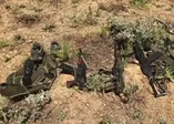 Hakkari'de terör örgütü PKK'ya ait mühimmat ele geçirildi