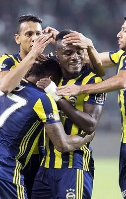 Kanarya Konya'da kendine geldi