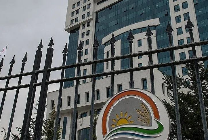 Balkonlar bahçe oldu