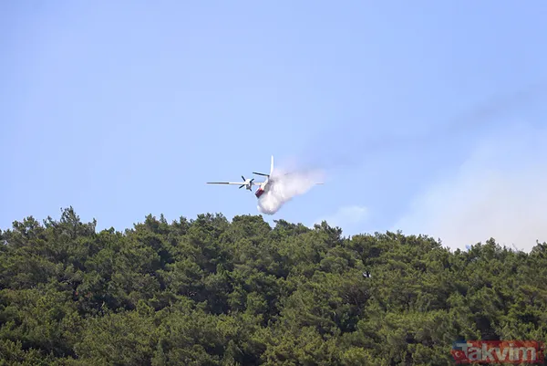 İzmir Bornova'da orman yangını: O yol kapatıldı - 1