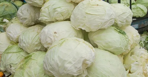 2024'te zam şampiyonu yüzde 179 artışla lahana oldu!