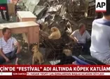 Çinli köpek etini çok seviyor! Festival başladı... |Video