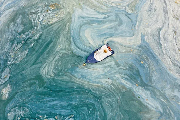 Marmara müsilaja boğulunca mı çark ettiniz? CHP Genel Başkanı Kemal Kılıçdaroğlu: Biyolojik arıtma lazım-3