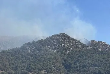 Muğla Milas'ta orman yangını! Ekiplerin müdahalesi sürüyor
