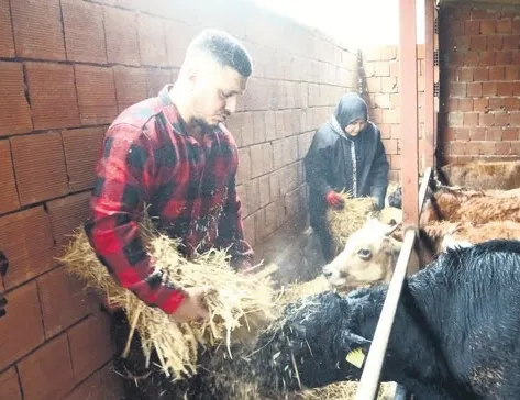 Almanya’yı bıraktı köyüne döndü! Robot gibi çalışacağıma çoban olurum