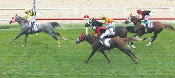 Zafer Denizim’in oldu