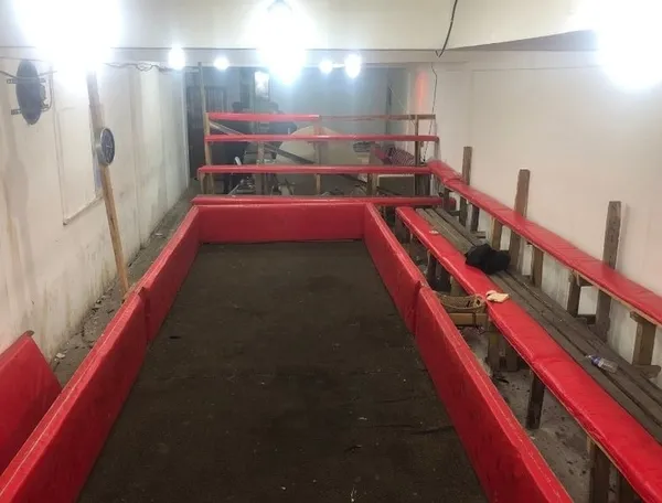 1686464409520.jpg İstanbul'da şaşkınlık veren olay! Hayvanları Koruma Derneği Başkanı horoz dövüşçüsü çıktı!-4