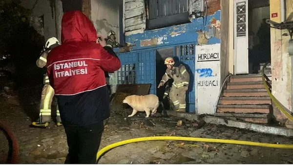 Fatih’te 3 katlı ahşap metruk bina alev alev yandı: Bodrum katında bulunan 2 köpeği itfaiye ekipleri kurtardı-3