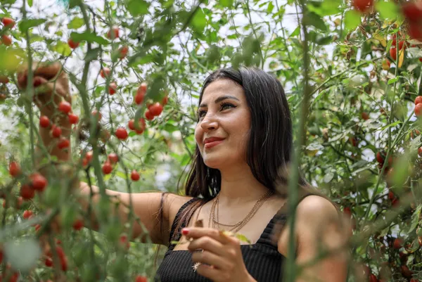 kabin-memuru-cemre-ates-bir-tohumla-basladigi-mini-seker-domatesi-uretimini-4-donume-cikardi-1623137177708.jpg Kabin memuru Cemre Ateş bir tohumla başladığı mini şeker domatesi üretimini 4 dönüme çıkardı-2