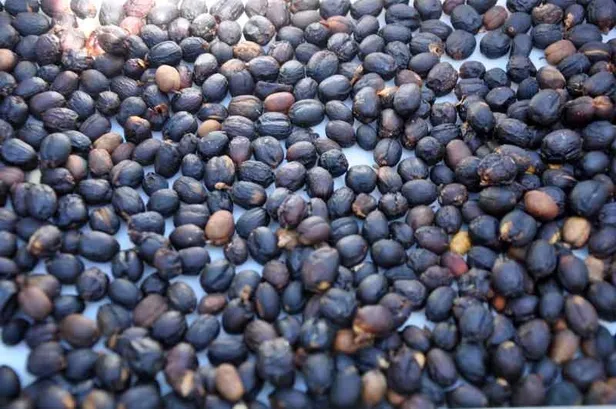 petrolden-sonra-en-cok-onun-ticareti-yapiliyor-turkiyede-uretime-baslandi-1592991362839.jpg Petrolden sonra en çok onun ticareti yapılıyor! Türkiye'de üretime başlandı-1